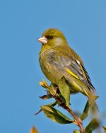 DSC_8734.jpg
