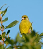 DSC_8724.jpg