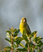 DSC_8746.jpg