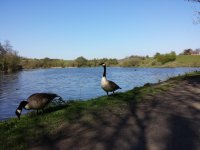 20150421_160759.jpg