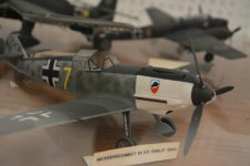 DSC_5324.jpg