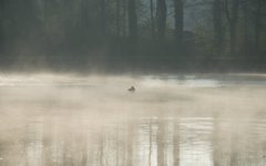 _DSC4485.jpg