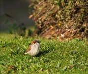 DSC_8814.jpg