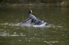 DSC_8864.jpg