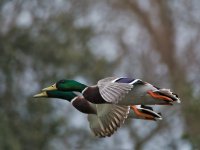 DSC_8897.jpg