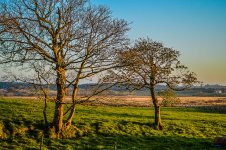 DSC_8283.jpg