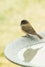 RAW conversion 1.jpg