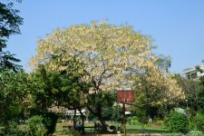 FSC_6367.jpg
