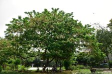 FSC_9429.jpg
