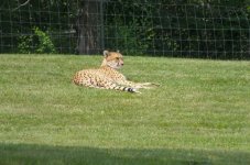 untitled shoot-0140-2.jpg