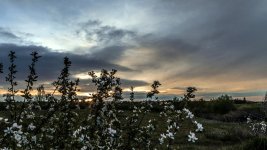 DSC_9142.jpg