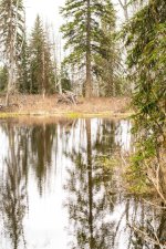 Pond on cloudy day 2 web.jpg