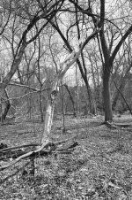 untitled shoot-0122.jpg