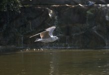 DSC_8907.jpg