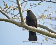 DSC_8935.jpg