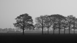 _DSC5085.jpg
