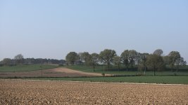 _DSC5086.jpg