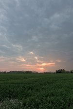 _5038177.jpg