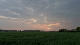 _5038178.jpg