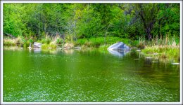 DSC_2592.jpg