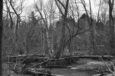 untitled shoot-0197.jpg
