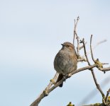 DSC_1058.jpg
