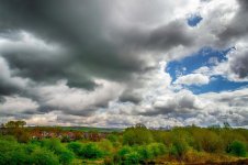 DSC_5388.jpg