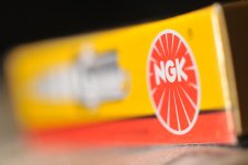 NKT_9505 copy.jpg