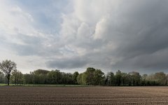 _DSC5201.jpg