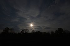 _DSC5208.jpg