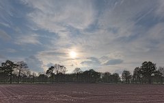 _DSC5208-2.jpg