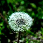 DSC_2641.jpg