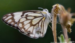 FSC_9630.jpg