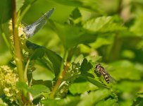DSC_9119.jpg