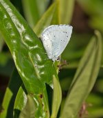 DSC_9125.jpg