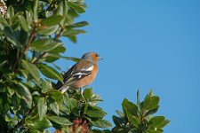 DSC_9015.jpg