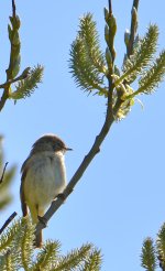 DSC_0025.jpg