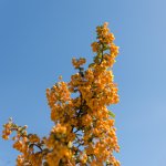EXIF Test.jpg