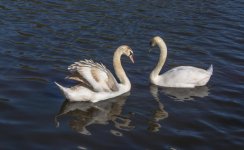 DSC_2076.jpg