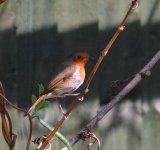 DSC_0086.jpg