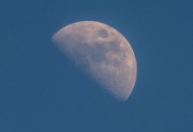 DSC_2113.jpg