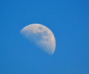 DSC_0160.jpg
