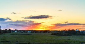 DSC_8422.jpg
