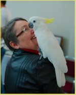 _DSC0412-EDM Parrot Show__-0188-EDM Parrot Show___-0013.jpg