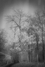 _AAA4833 - Version 2.jpg