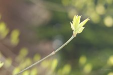 _AAA4920 - Version 2.jpg