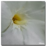 park-15-FrameShop.jpg