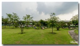 park-24-FrameShop.jpg