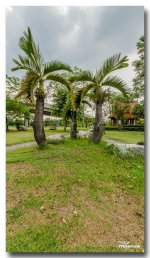 park-25-FrameShop.jpg