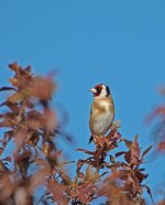 DSC_9148.jpg